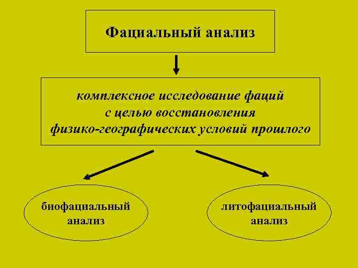 Фациальный анализ комплексное исследование фаций с целью восстановления физико-географических условий прошлого биофациальный анализ литофациальный