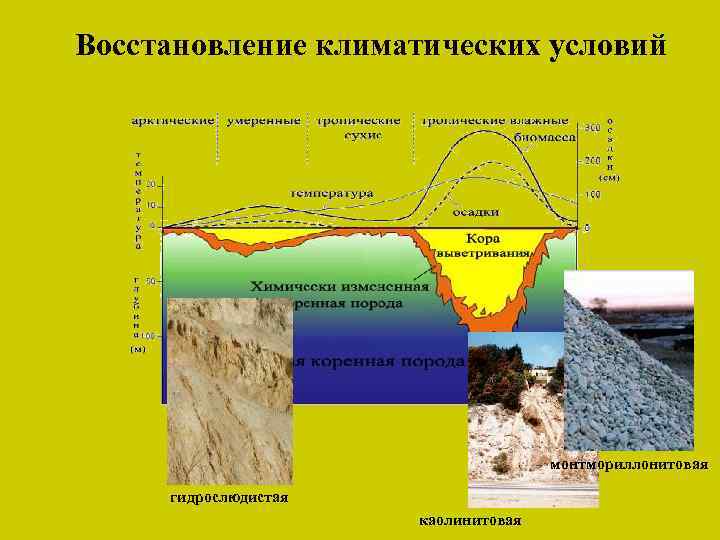 Восстановление климатических условий монтмориллонитовая гидрослюдистая каолинитовая 