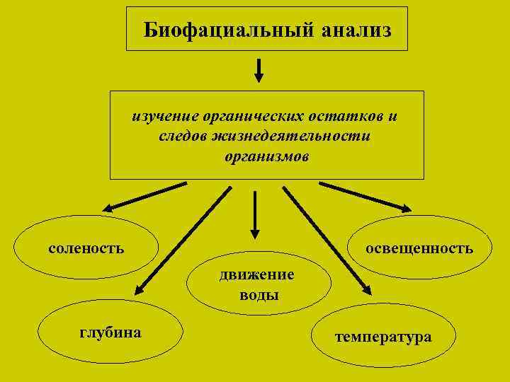 Биофациальный анализ изучение органических остатков и следов жизнедеятельности организмов соленость освещенность движение воды глубина