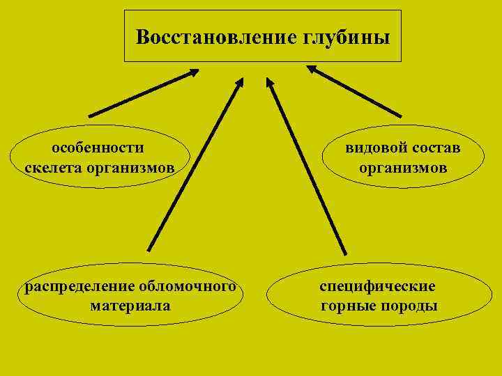 Восстановление глубины особенности скелета организмов распределение обломочного материала видовой состав организмов специфические горные породы