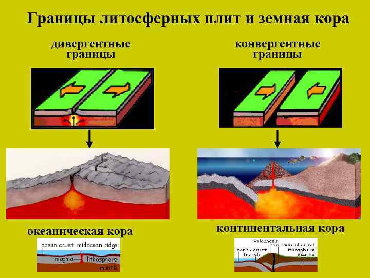 Границы литосферных плит и земная кора дивергентные границы океаническая кора конвергентные границы континентальная кора