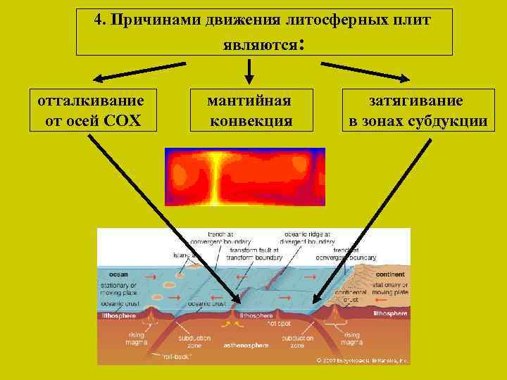 4. Причинами движения литосферных плит являются: отталкивание от осей СОХ мантийная конвекция затягивание в