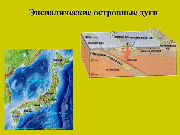 Энсиалические островные дуги 