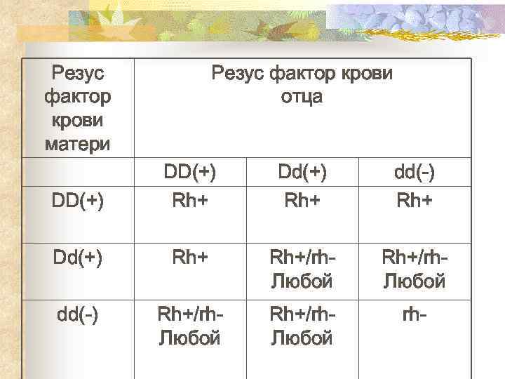 Резус фактор крови матери DD(+) Резус фактор крови отца DD(+) Rh+ Dd(+) Rh+ dd(-)