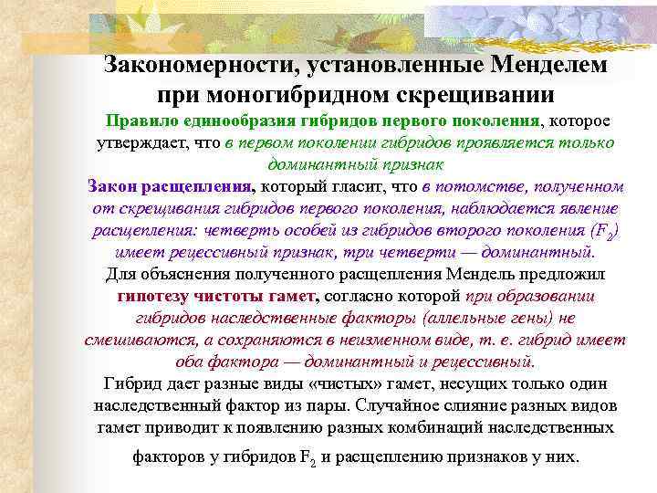 Закономерности, установленные Менделем при моногибридном скрещивании Правило единообразия гибридов первого поколения, которое утверждает, что