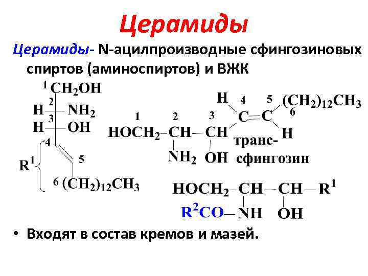 Церамиды- N-ацилпроизводные сфингозиновых спиртов (аминоспиртов) и ВЖК • Входят в состав кремов и мазей.