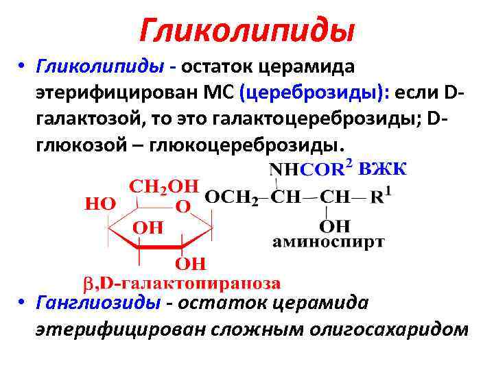 Гликолипиды. Гидролиз гликолипидов. Гликолипиды (цереброзиды, ганглиозиды).. Гликолипиды структурная формула. Гликолипиды общая формула.