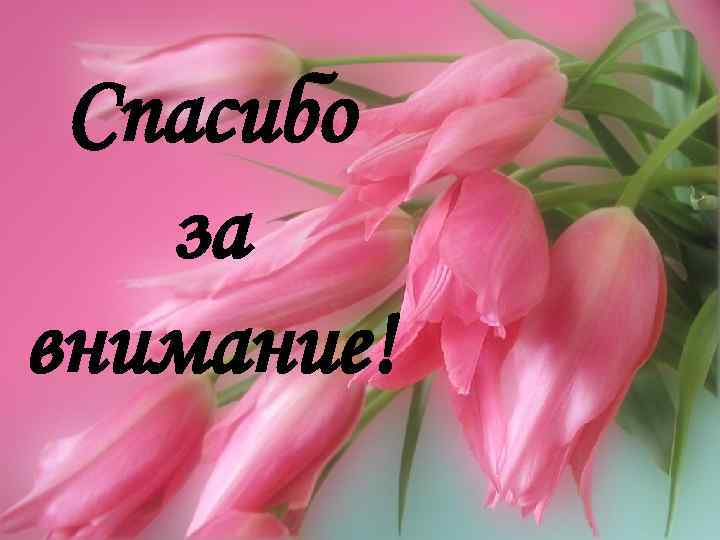 Спасибо за внимание! 