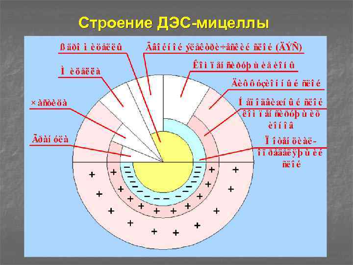 Строение ДЭС-мицеллы 