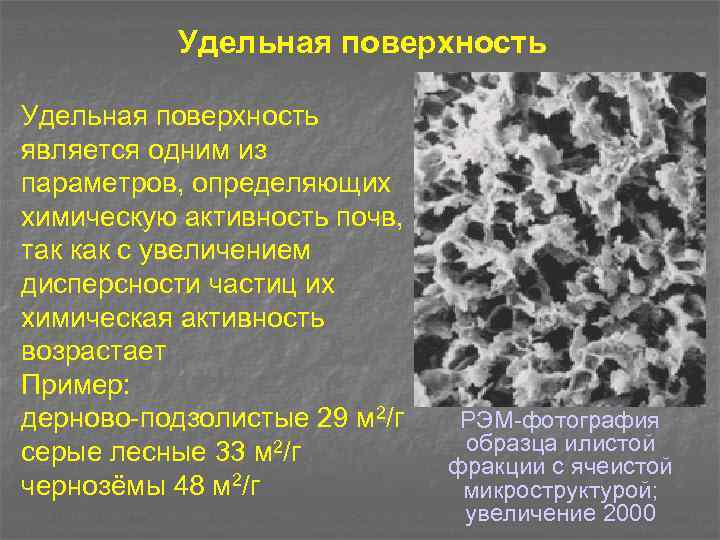 Удельное поверхностное. Удельная поверхность почвы. Удельная поверхность частиц. Удельная поверхность грунта. Удельная поверхность почвенных частиц.