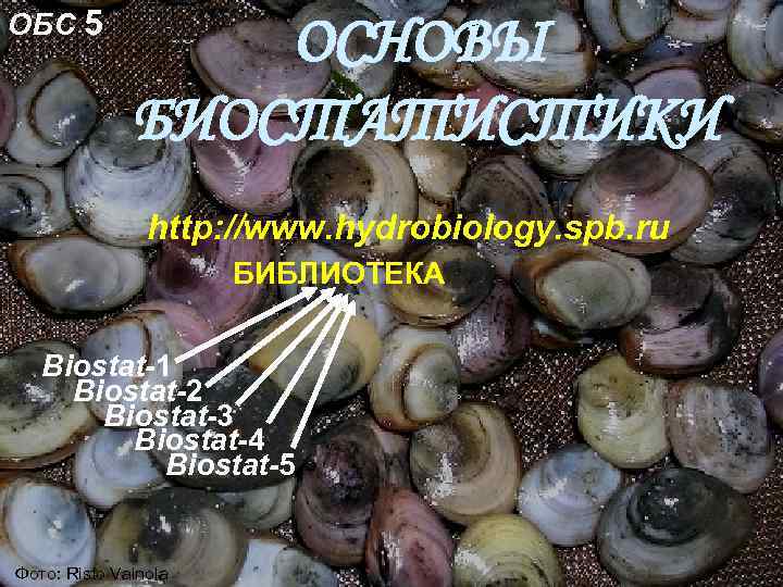 ОБС 5 ОСНОВЫ БИОСТАТИСТИКИ http: //www. hydrobiology. spb. ru БИБЛИОТЕКА Biostat-1 Biostat-2 Biostat-3 Biostat-4