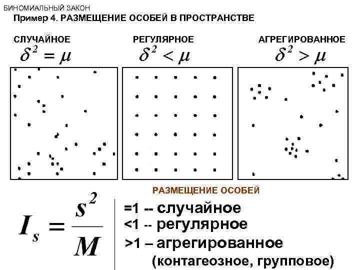 Формы существования особей в популяции