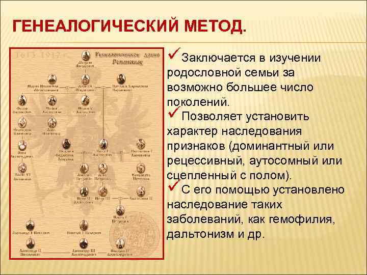 Генеалогический метод фото