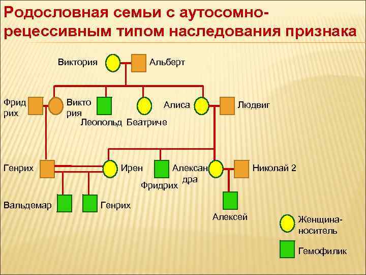 Генотип родословной