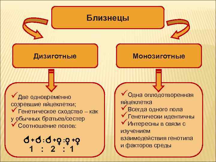Близнецы Дизиготные üДве одновременно созревшие яйцеклетки; üГенетическое сходство – как у обычных братьев/сестер üСоотношение