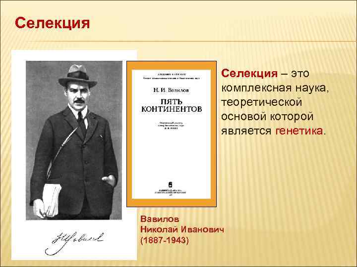 Селекция – это комплексная наука, теоретической основой которой является генетика. Вавилов Николай Иванович (1887