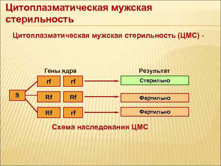 Цитоплазматическая изменчивость презентация