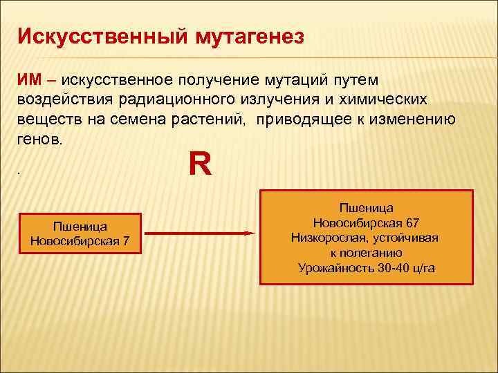 Радиационный мутагенез презентация