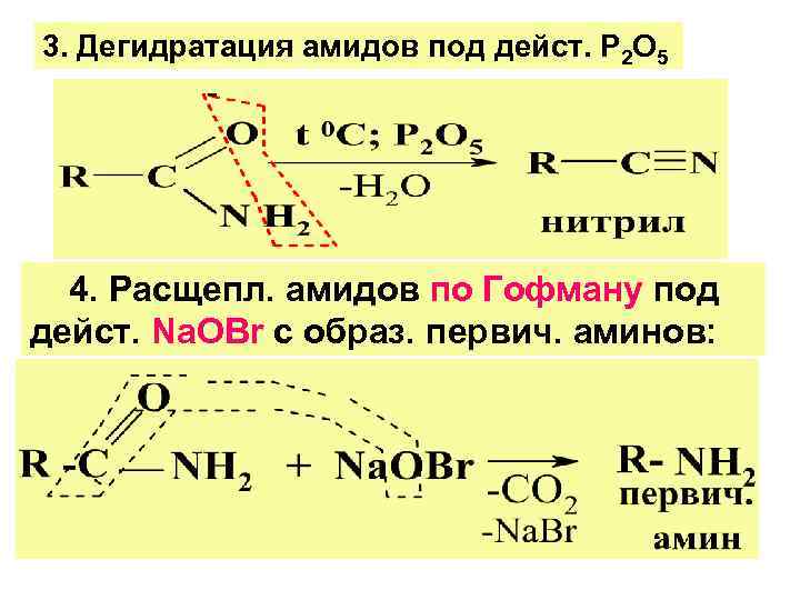 3. Дегидратация амидов под дейст. Р 2 О 5 4. Расщепл. амидов по Гофману