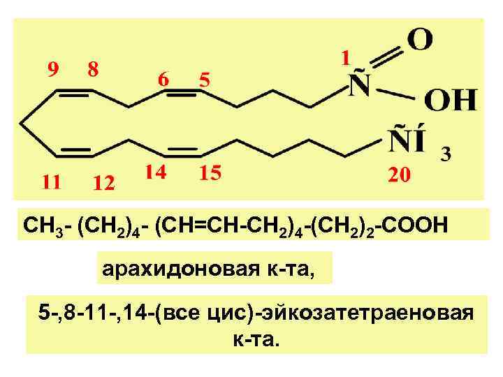 СН 3 - (СН 2)4 - (СН=СН-СН 2)4 -(СН 2)2 -СООН арахидоновая к-та, 5