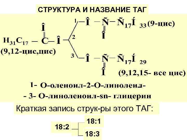 СТРУКТУРА И НАЗВАНИЕ ТАГ Краткая запись струк-ры этого ТАГ: 18: 2 18: 1 18: