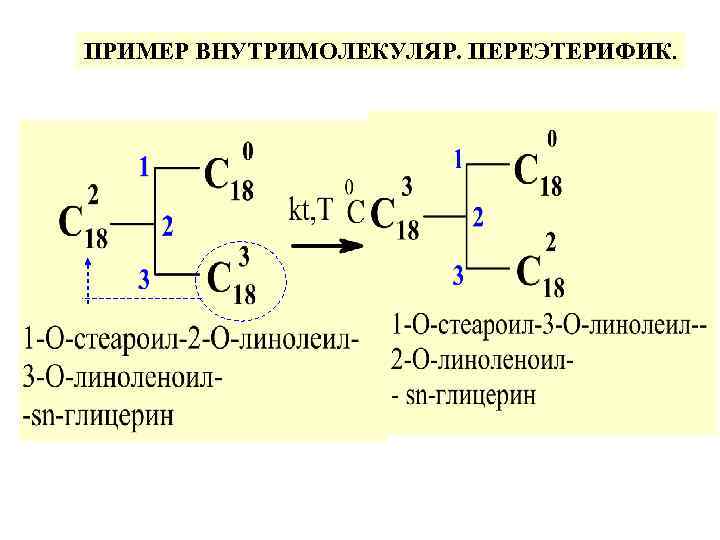 ПРИМЕР ВНУТРИМОЛЕКУЛЯР. ПЕРЕЭТЕРИФИК. 