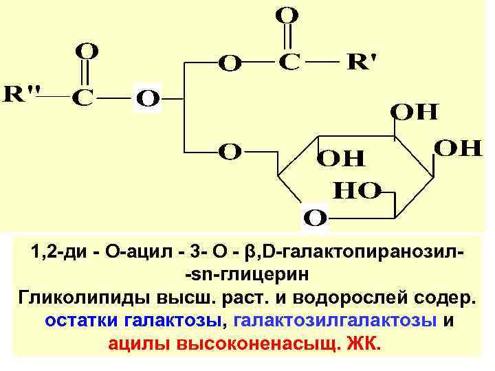 1, 2 -ди - О-ацил - 3 - О - β, D-галактопиранозил-ѕn-глицерин Гликолипиды высш.