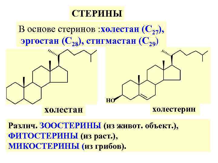 СТЕРИНЫ В основе стеринов : холестан (С 27), эргостан (С 28), стигмастан (С 29)