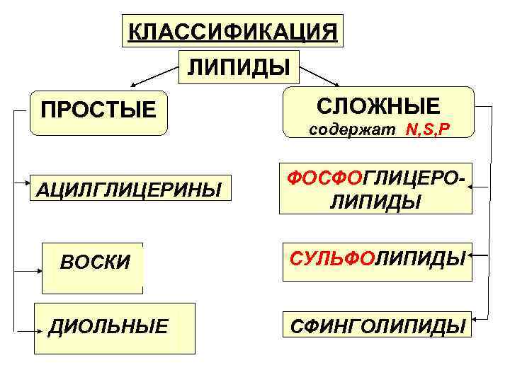 КЛАССИФИКАЦИЯ ЛИПИДЫ ПРОСТЫЕ АЦИЛГЛИЦЕРИНЫ ВОСКИ ДИОЛЬНЫЕ СЛОЖНЫЕ содержат N, S, P ФОСФОГЛИЦЕРОЛИПИДЫ СУЛЬФОЛИПИДЫ СФИНГОЛИПИДЫ