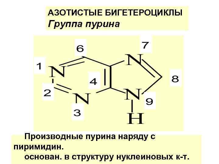 АЗОТИСТЫЕ БИГЕТЕРОЦИКЛЫ Группа пурина Производные пурина наряду с пиримидин. основан. в структуру нуклеиновых к-т.