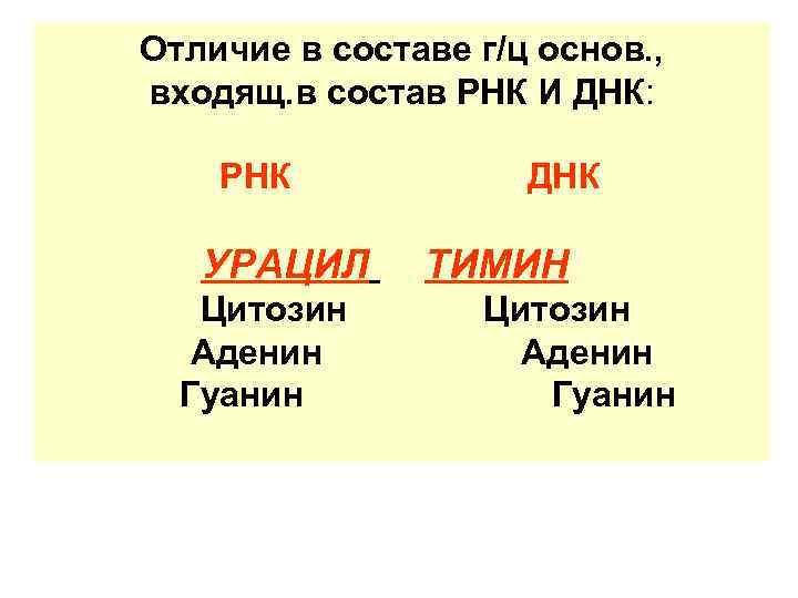 Отличие в составе г/ц основ. , входящ. в состав РНК И ДНК: РНК УРАЦИЛ