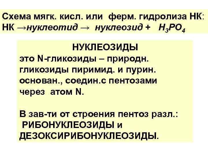 Схема мягк. кисл. или ферм. гидролиза НК: НК →нуклеотид → нуклеозид + Н 3