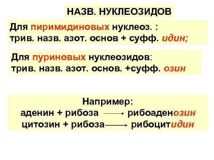 НАЗВ. НУКЛЕОЗИДОВ Для пиримидиновых нуклеоз. : трив. назв. азот. основ + суфф. идин; Для