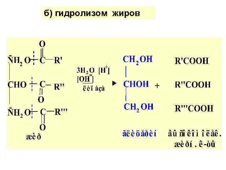 б) гидролизом жиров 