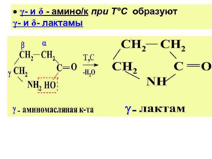 Изобразите схему реакции получения лактама 4 аминомасляной кислоты