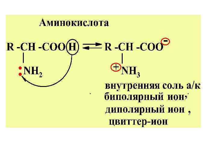 Аминокислоты поурочный план