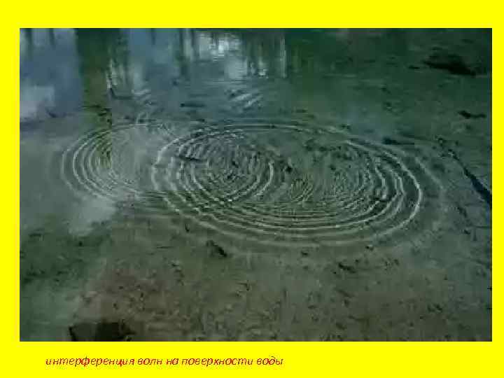 интерференция волн на поверхности воды 