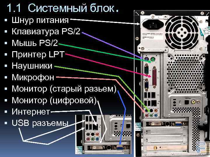 1. 1 Системный блок. Шнур питания Клавиатура PS/2 Мышь PS/2 Принтер LPT Наушники Микрофон