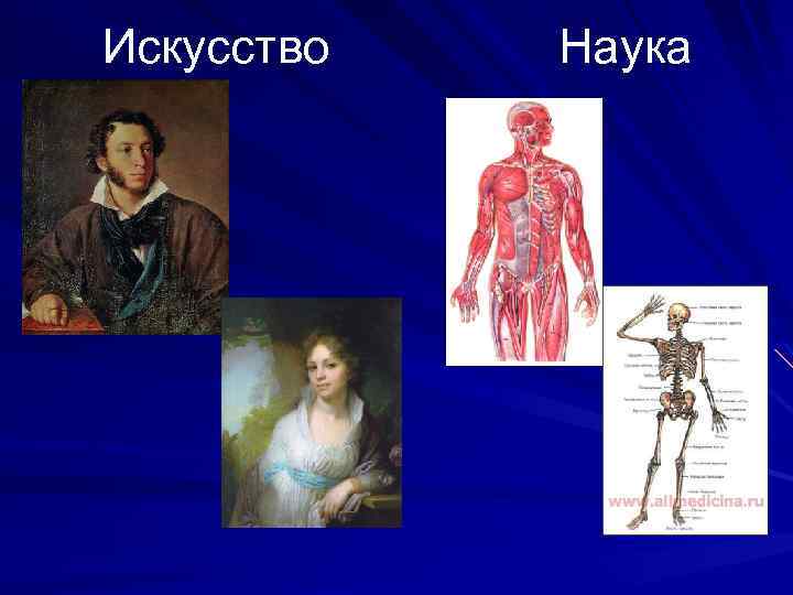 Искусство Наука 