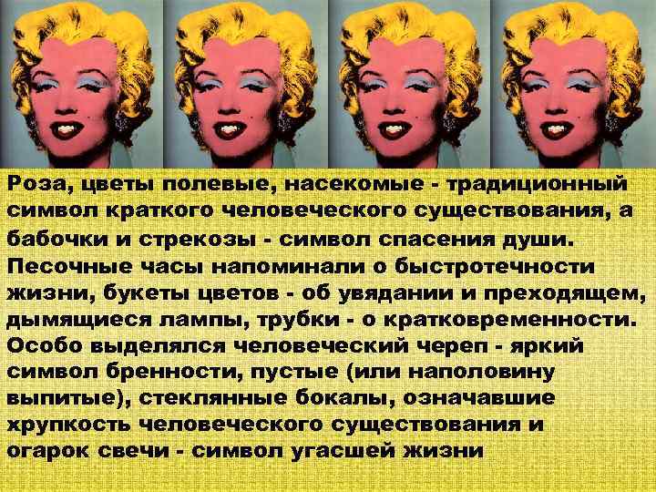 Роза, цветы полевые, насекомые - традиционный символ краткого человеческого существования, а бабочки и стрекозы