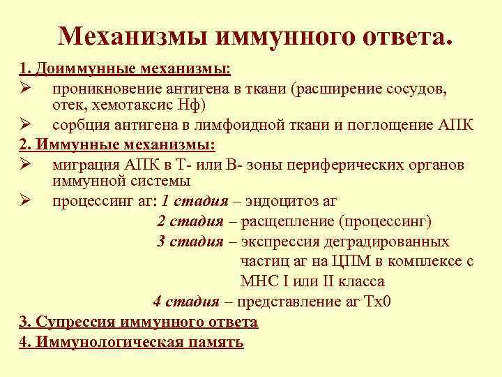 Механизмы иммунного ответа. 1. Доиммунные механизмы: Ø проникновение антигена в ткани (расширение сосудов, отек,