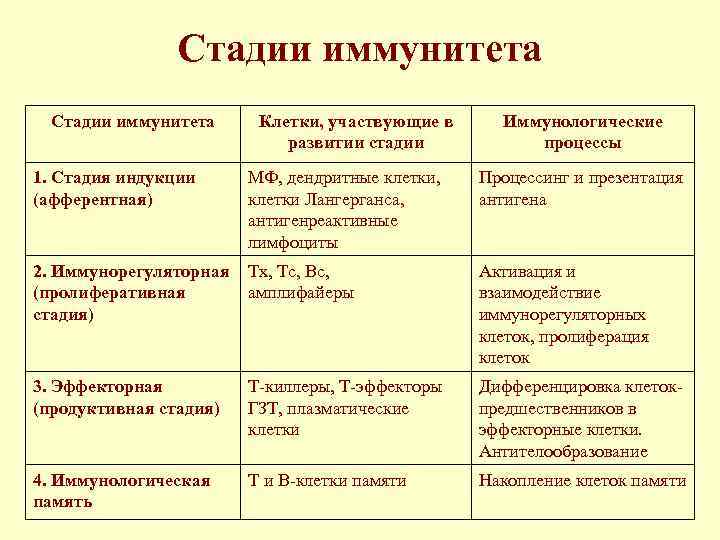 Стадии иммунитета Клетки, участвующие в развитии стадии Иммунологические процессы 1. Стадия индукции (афферентная) МФ,