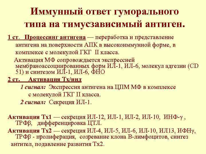 Иммунный ответ гуморального типа на тимусзависимый антиген. 1 ст. Процессинг антигена — переработка и