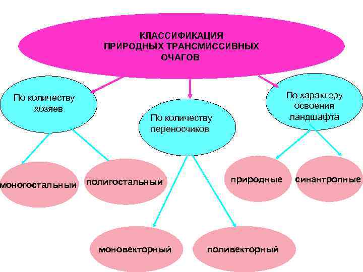 КЛАССИФИКАЦИЯ ПРИРОДНЫХ ТРАНСМИССИВНЫХ ОЧАГОВ По количеству хозяев моногостальный По характеру освоения ландшафта По количеству