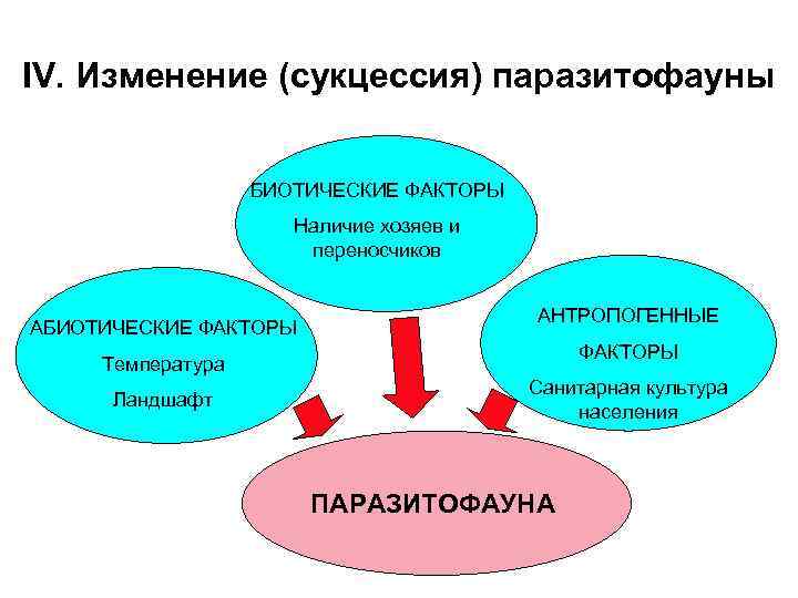 IV. Изменение (сукцессия) паразитофауны БИОТИЧЕСКИЕ ФАКТОРЫ Наличие хозяев и переносчиков АБИОТИЧЕСКИЕ ФАКТОРЫ АНТРОПОГЕННЫЕ ФАКТОРЫ