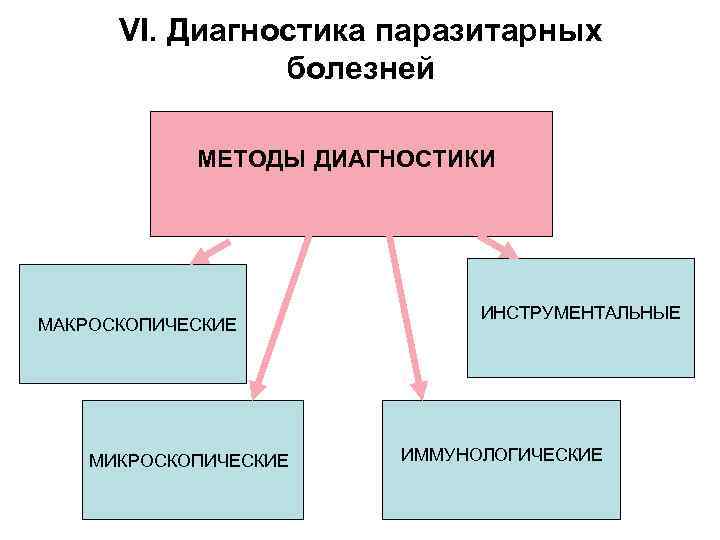 VI. Диагностика паразитарных болезней МЕТОДЫ ДИАГНОСТИКИ МАКРОСКОПИЧЕСКИЕ МИКРОСКОПИЧЕСКИЕ ИНСТРУМЕНТАЛЬНЫЕ ИММУНОЛОГИЧЕСКИЕ 