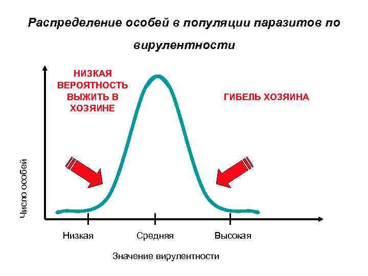 Распределение особей в популяции паразитов по вирулентности НИЗКАЯ ВЕРОЯТНОСТЬ ВЫЖИТЬ В ХОЗЯИНЕ Число особей