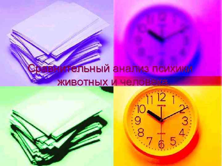 Сравнительный анализ психики животных и человека. 