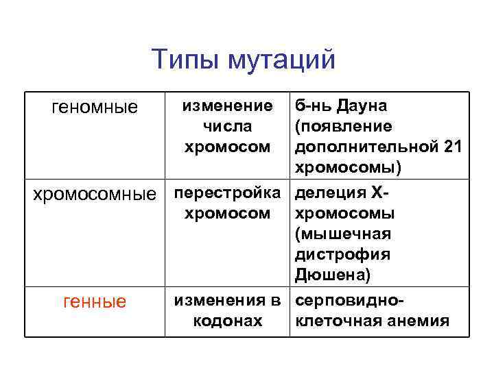 Типы мутаций б-нь Дауна (появление дополнительной 21 хромосомы) хромосомные перестройка делеция Ххромосомы (мышечная дистрофия