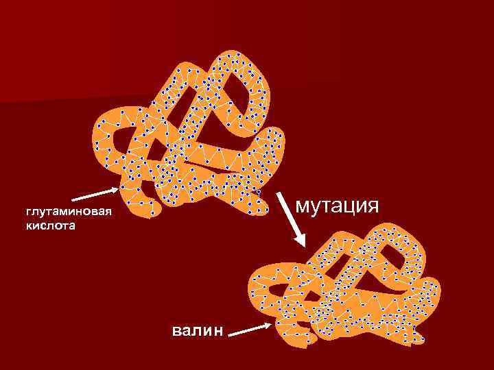 мутация глутаминовая кислота валин 